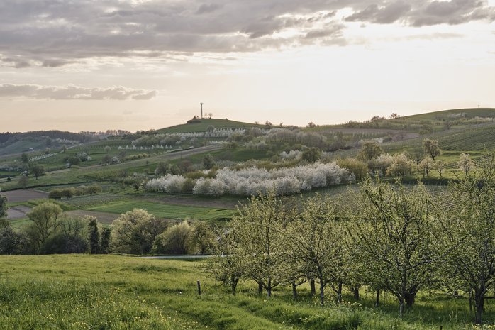 Vielfalt LandKultur