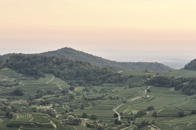 Kulturlandschaft im Kaiserstuhl