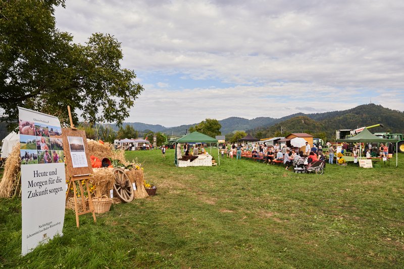 Das Außengelände des Höfe-Festivals 2023