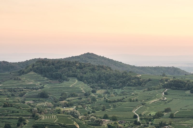 Kulturlandschaft im Kaiserstuhl