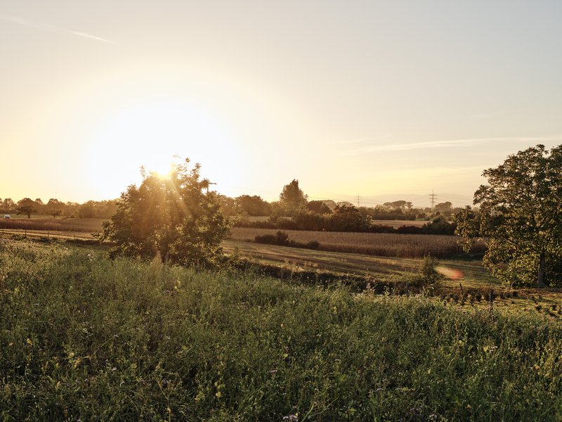 Die regionale Versorgung Südbadens braucht eine stabile Landwirtschaft. Foto: Christoph Duepper