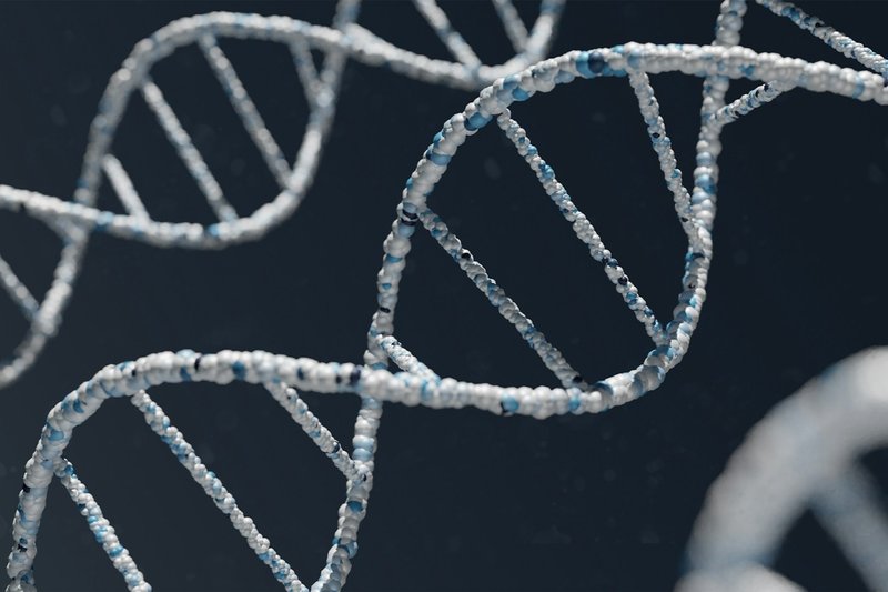 Neuausrichtung Gentechnik, Foto: warren-umoh_unplash