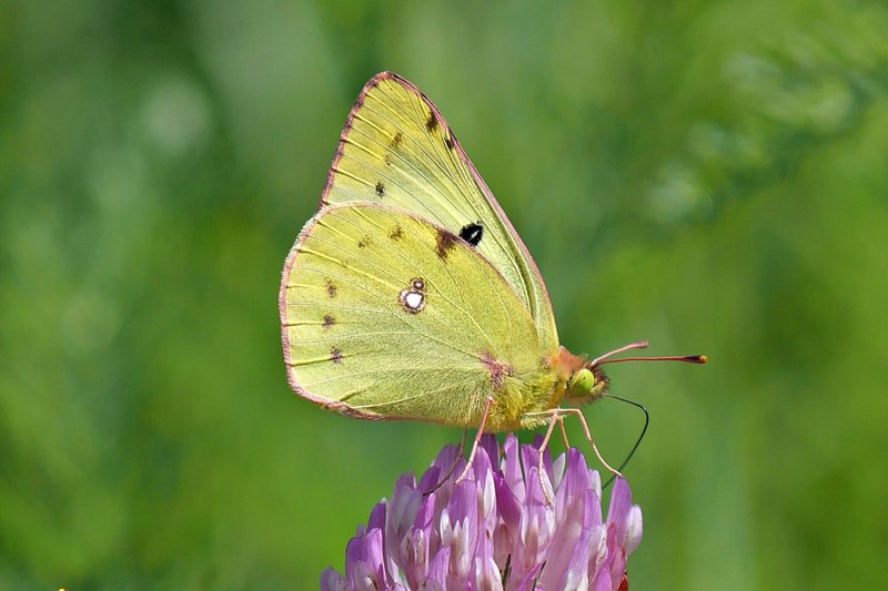 Fotografie: Christiane Denzel