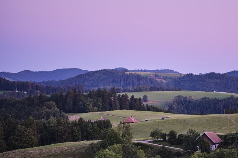 Morgenstimmung in der Kulturlandschaft im Hochschwarzwald