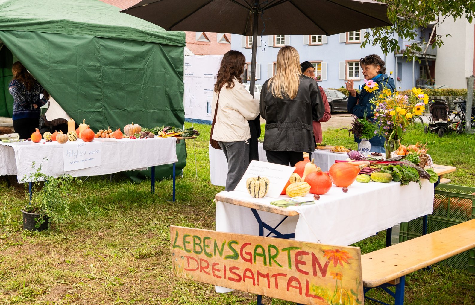 Lebensgarten Dreisamtal, Gemüse aus solidarischer Landwirtschaft