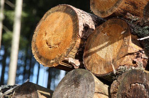 Holz aus dem Schwarzwald