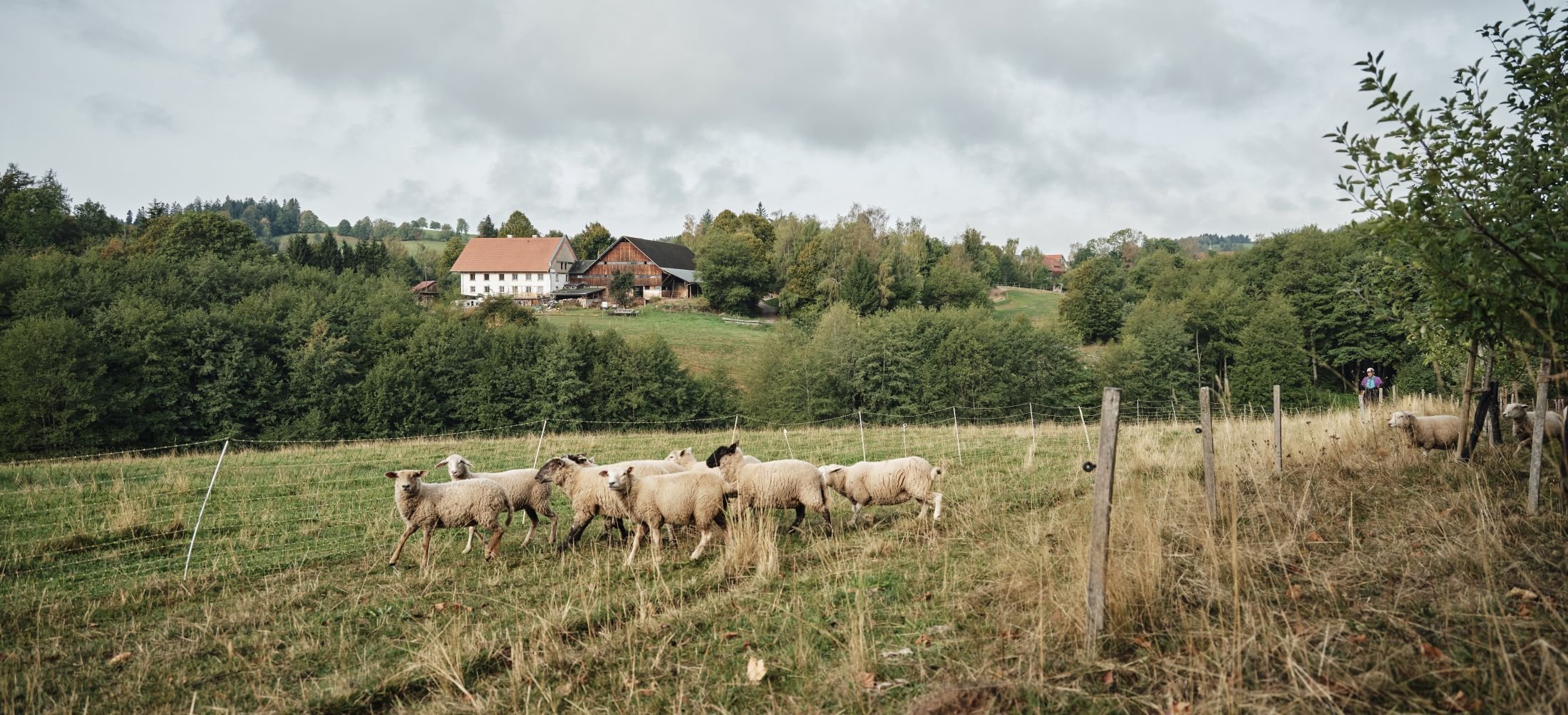 Kommune Schafhof