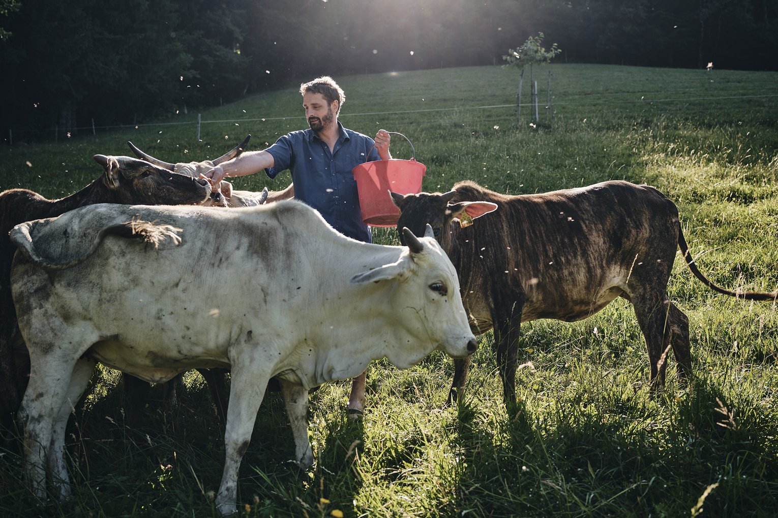 Wolfsteigehof<Br>Familie Simon Schwär und Team
