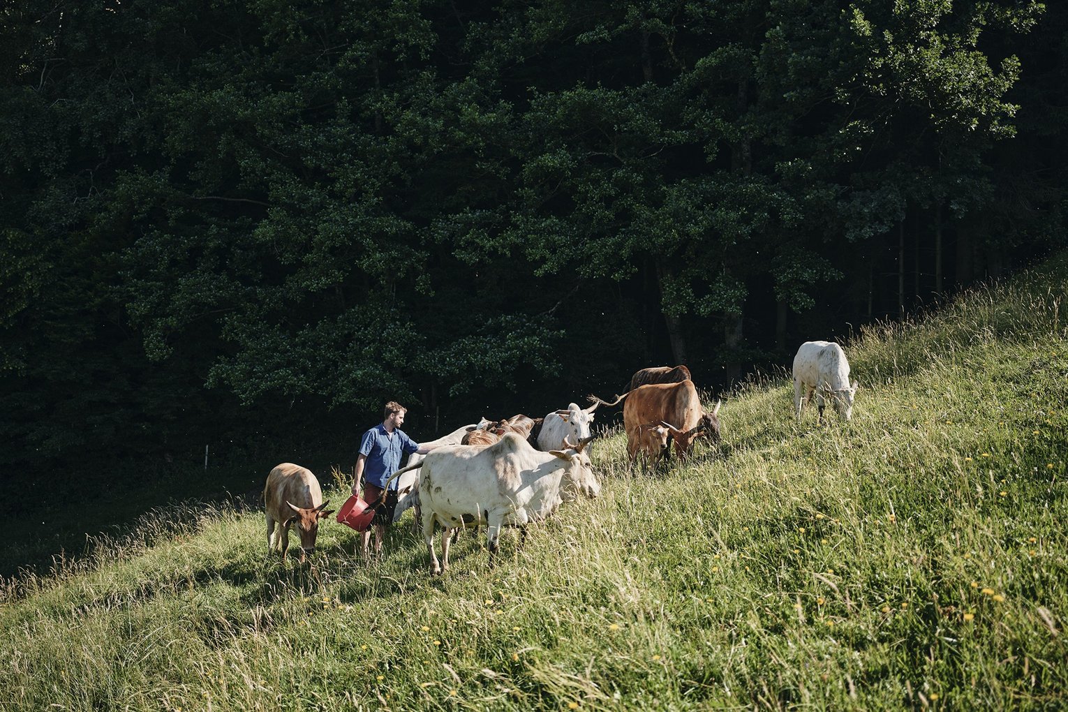 Wolfsteigehof<Br>Familie Simon Schwär und Team