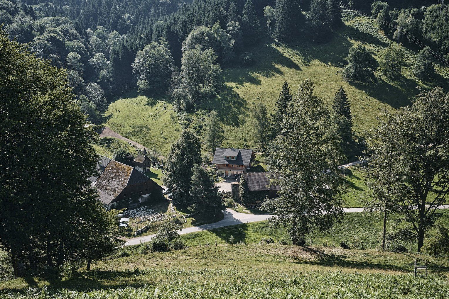 Wolfsteigehof<Br>Familie Simon Schwär und Team