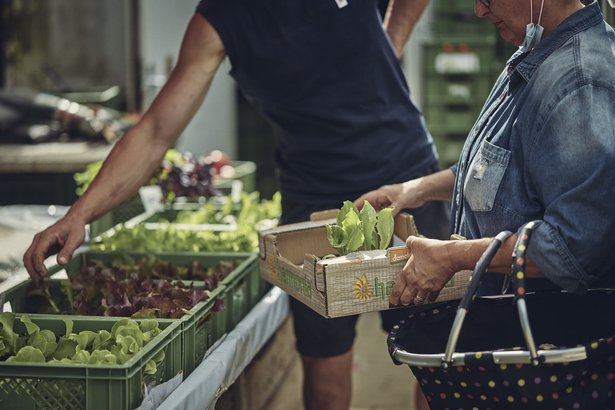 Bio-Musterregion belebt Freiburger Setzlingsmarkt neu