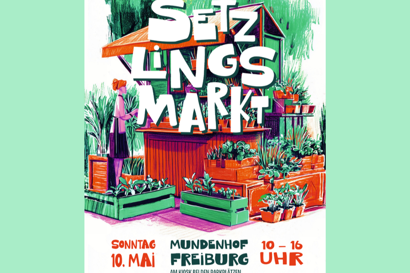 Setzlingsmarkt_sharepic als Foto 3 x 2